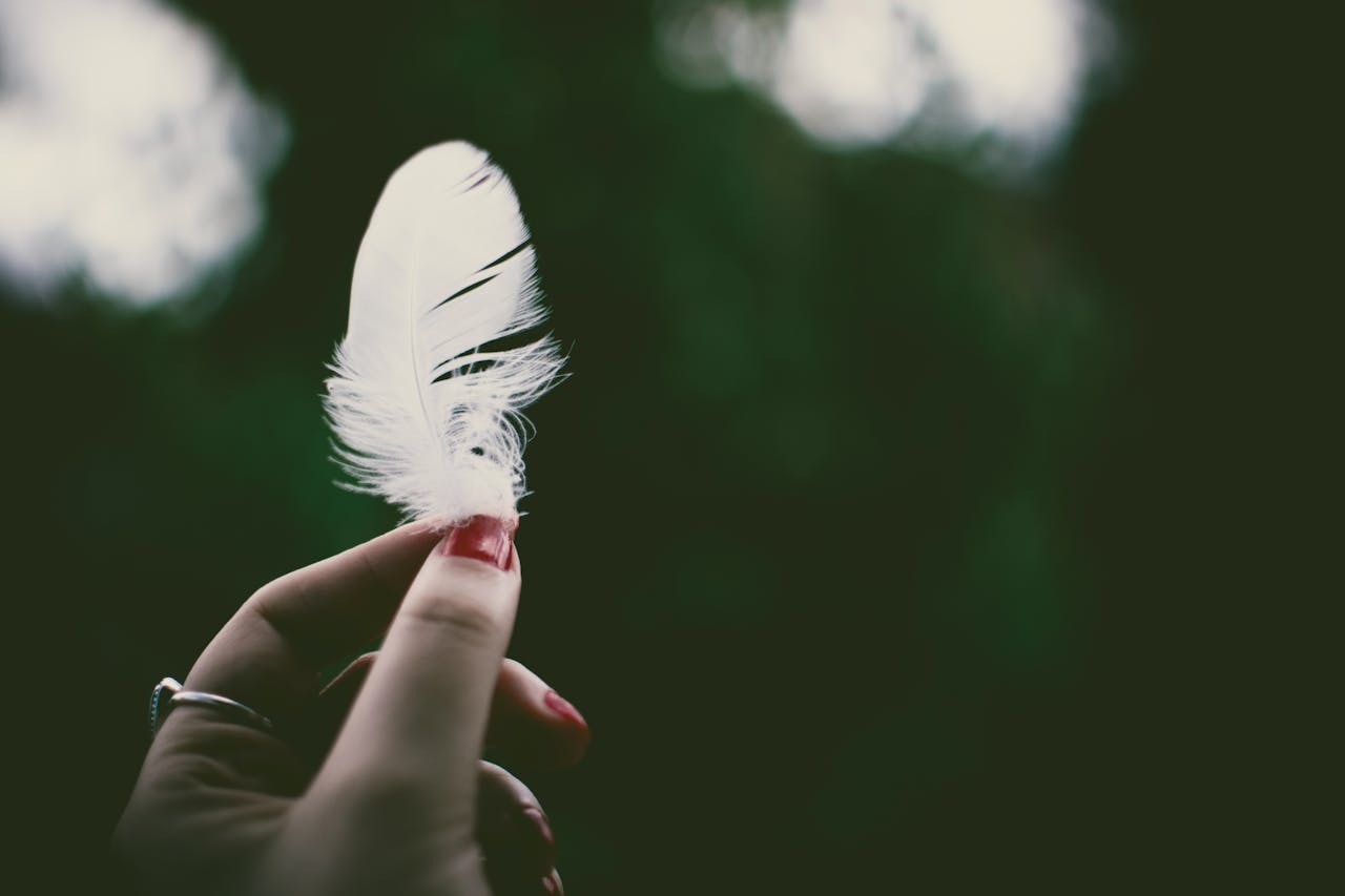 gallery-5 Close-up of a hand delicately holding a white feather against a dark blurred background.